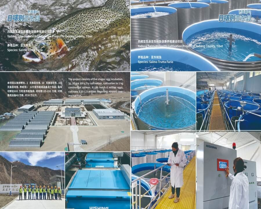 Yadong Salmon Health Cultivation Project in Yadong County, Tibet