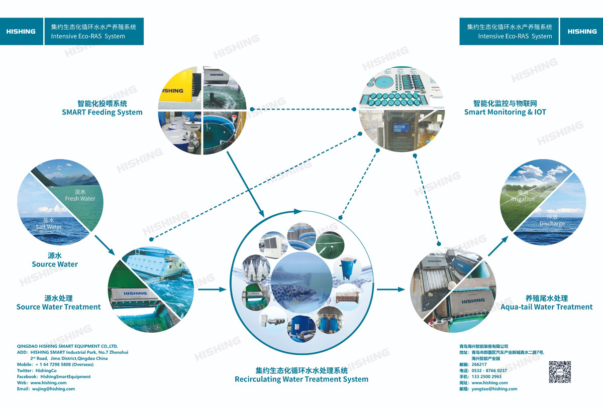 Intensive Eco-RAS System