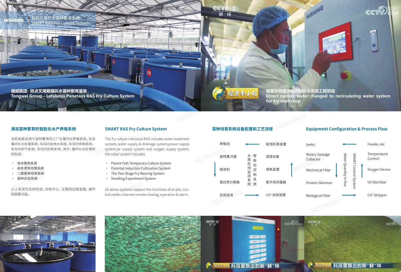 SMART RAS Fry Culture System