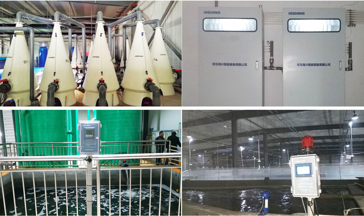 Dongying Agri - Blue Horizon Acqua Tech Co.,Ltd.