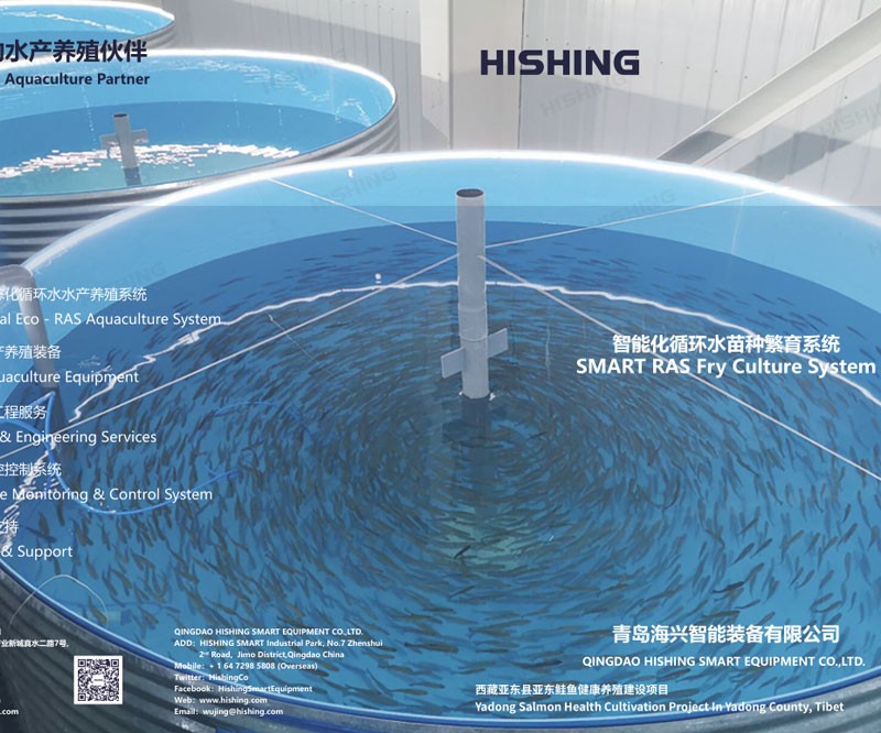 SMART RAS Fry Culture System