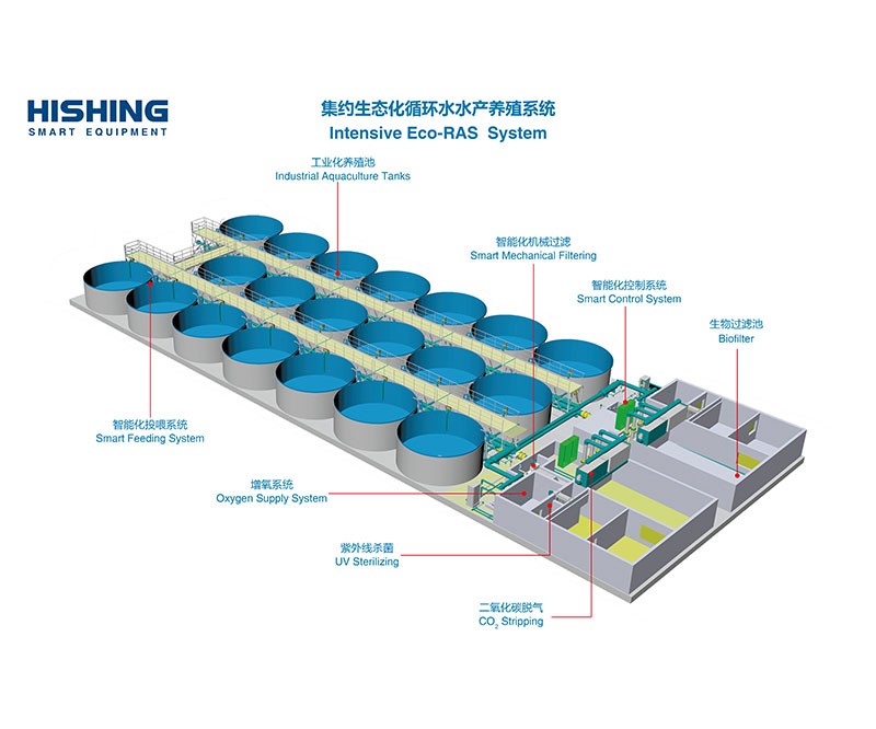 Recirculating Aquaculture System