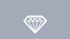 More than 10 years Experience